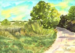 Weg in einer sommerlichen Heidelandschaft, gemalt mit Aquarellfarben im Jahr 2017