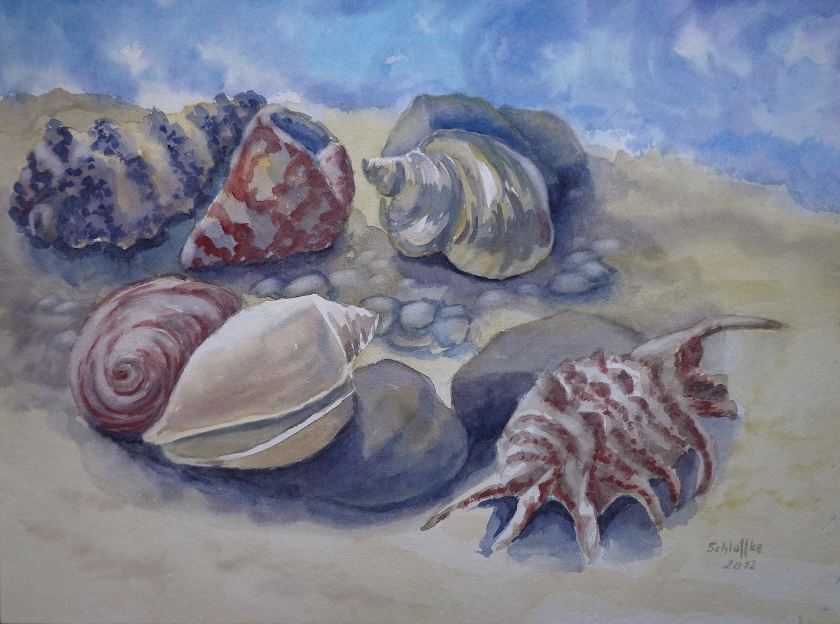 Muscheln und Seeschnecken zwischen Steinen am Meeresufer, gemalt mit Aquarell im Jahr 2012